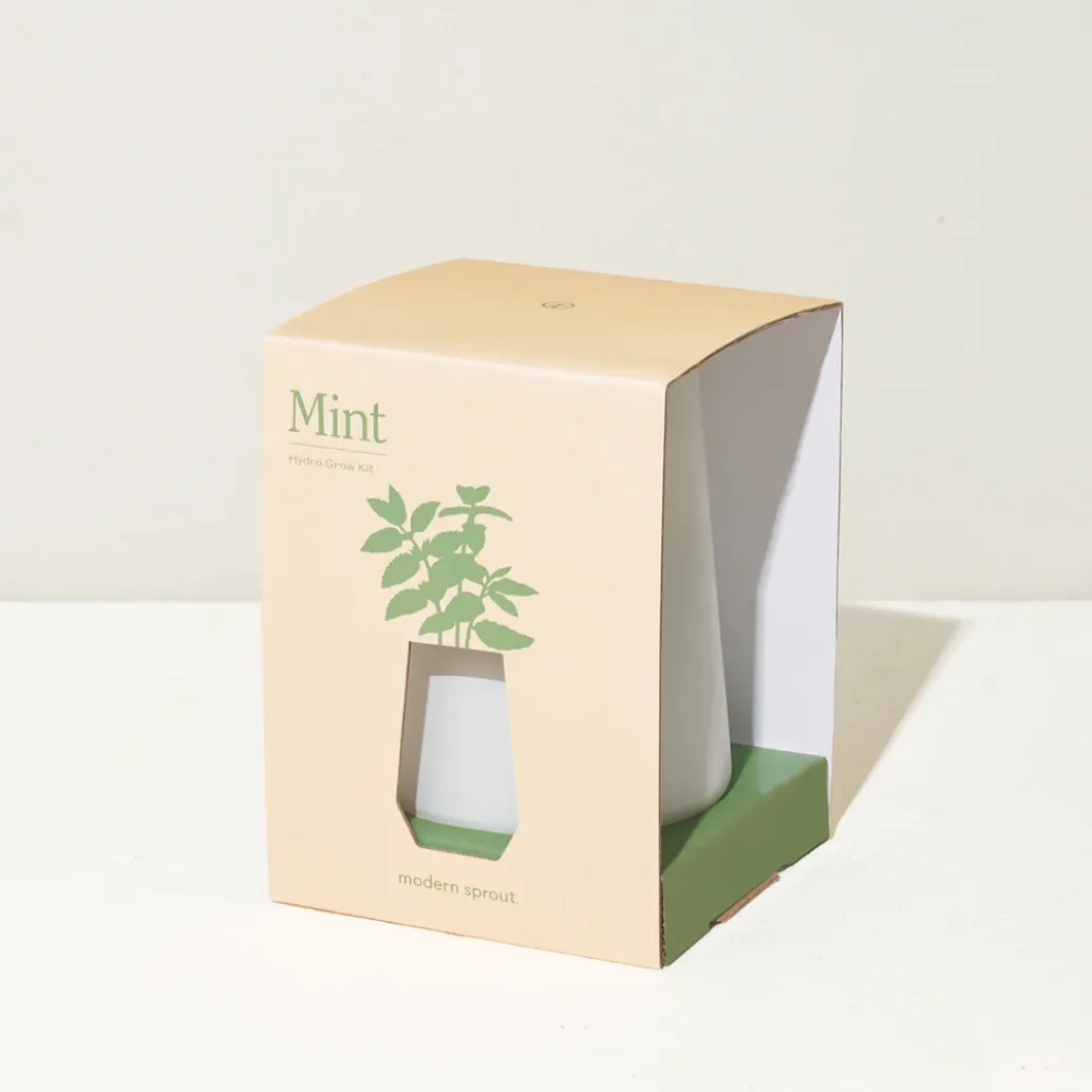 Modern Sprout Tapered Tumbler - Mint