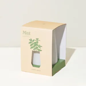 Modern Sprout Tapered Tumbler - Mint