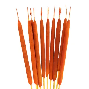 Orange Airbrushed Cattails