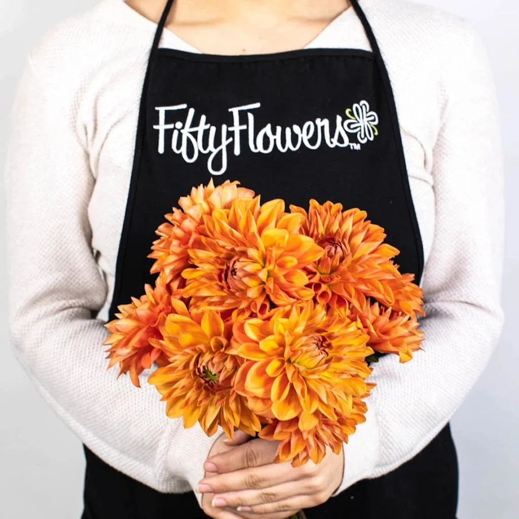 Orange Quartz Dahlia Flower