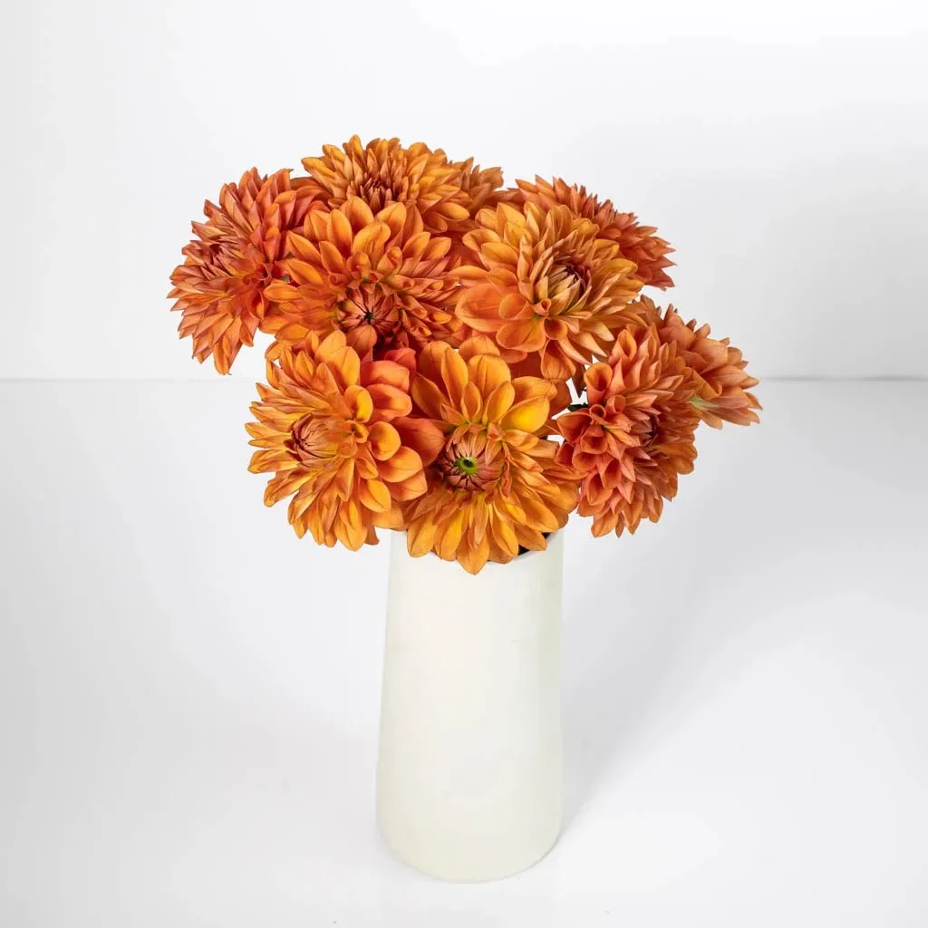 Orange Quartz Dahlia Flower
