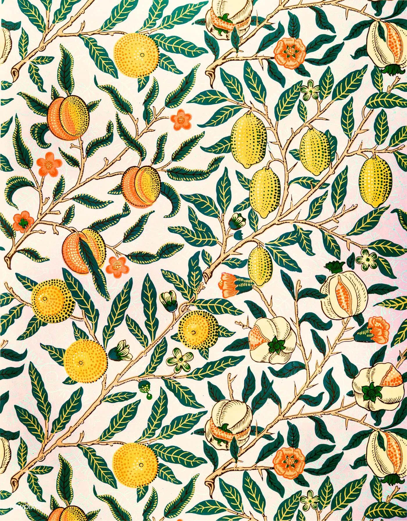 Pomegranate - William Morris Fruit Pattern Art - Posters