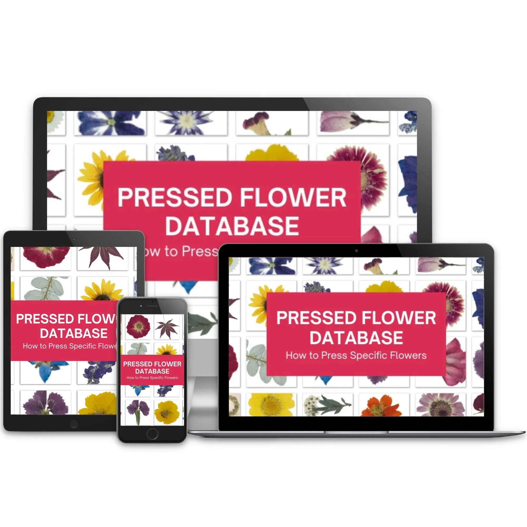 Pressed Flower Database