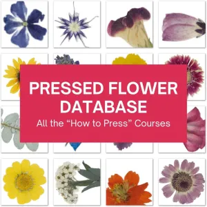 Pressed Flower Database