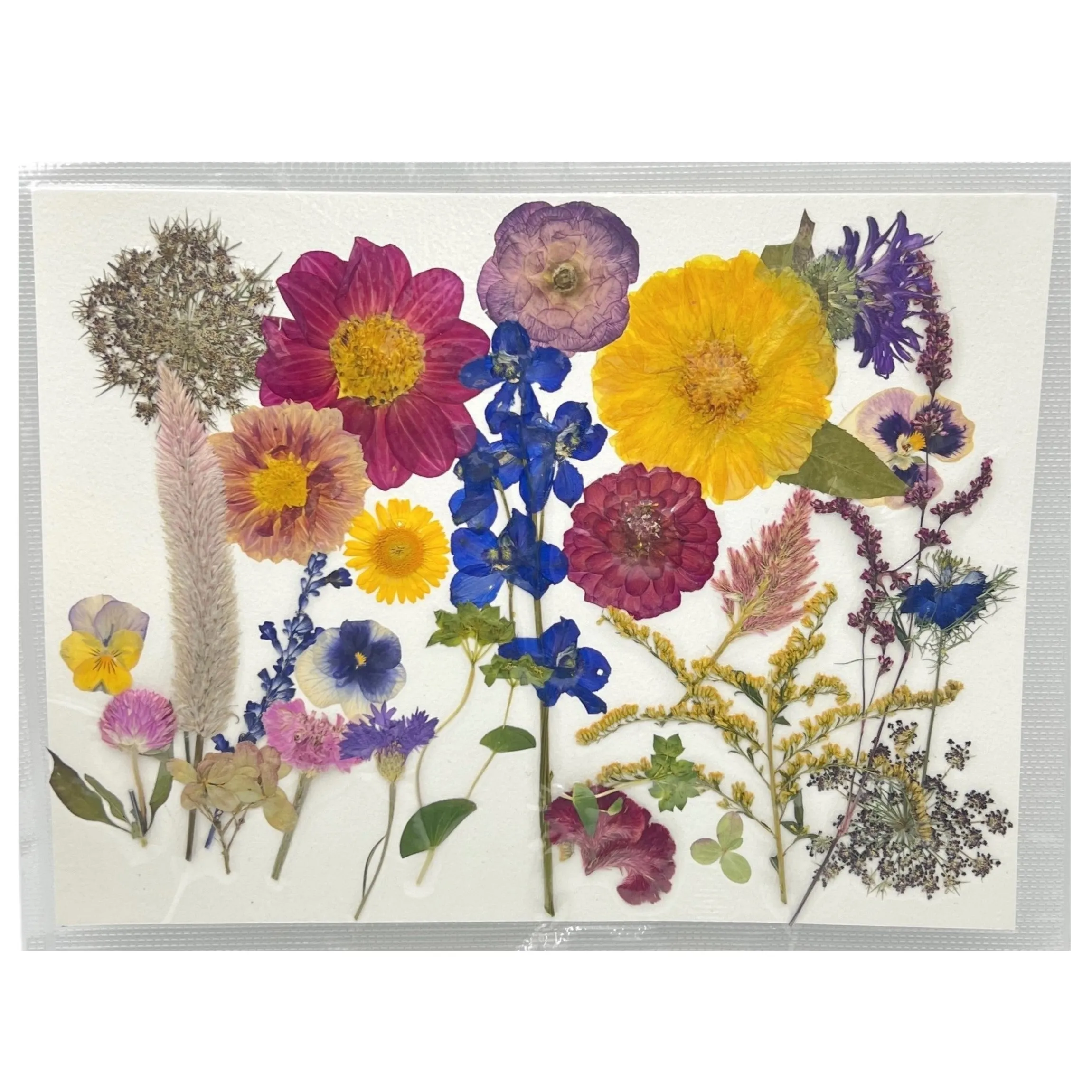 Pressed Flowers for Resin and DIY Crafts