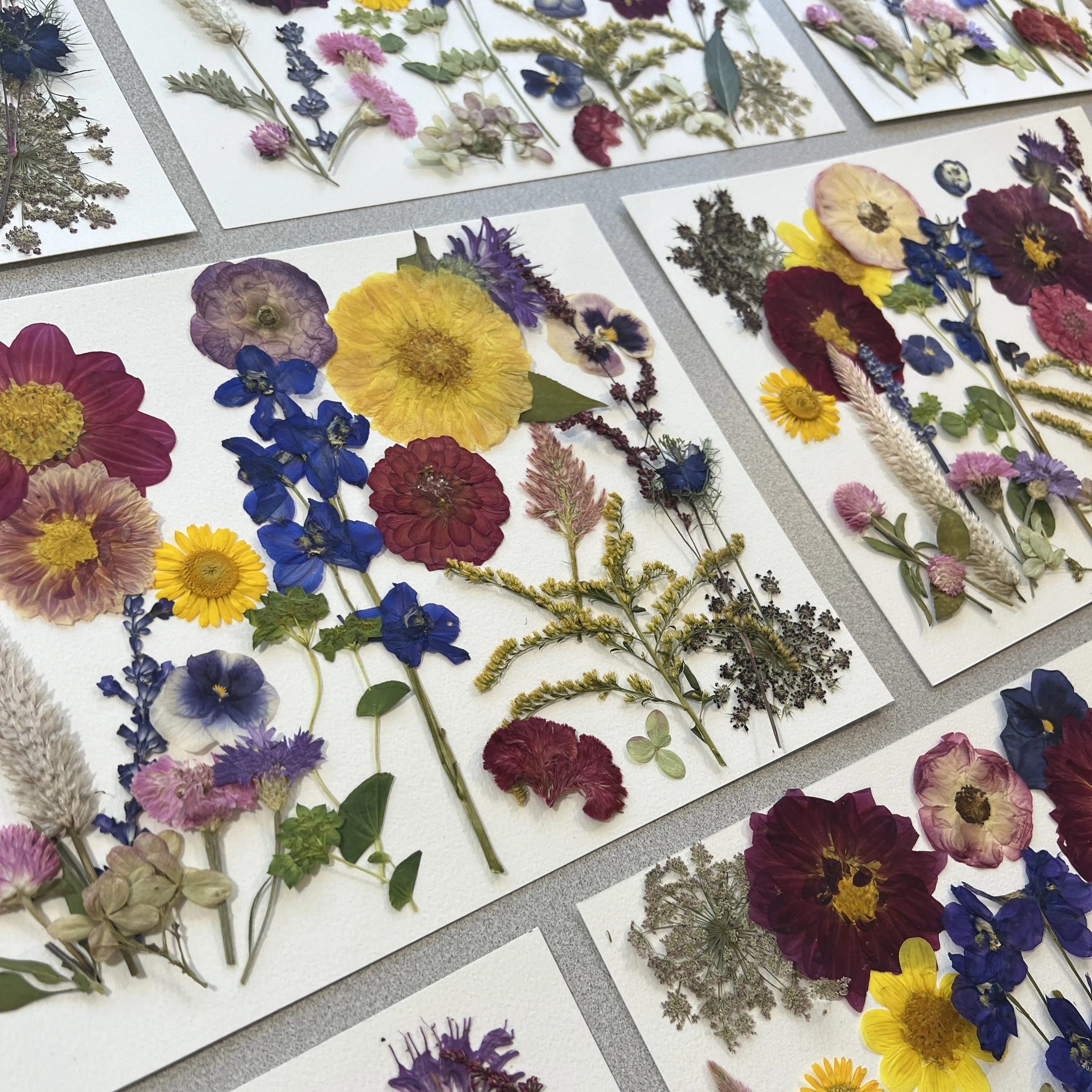 Pressed Flowers for Resin and DIY Crafts