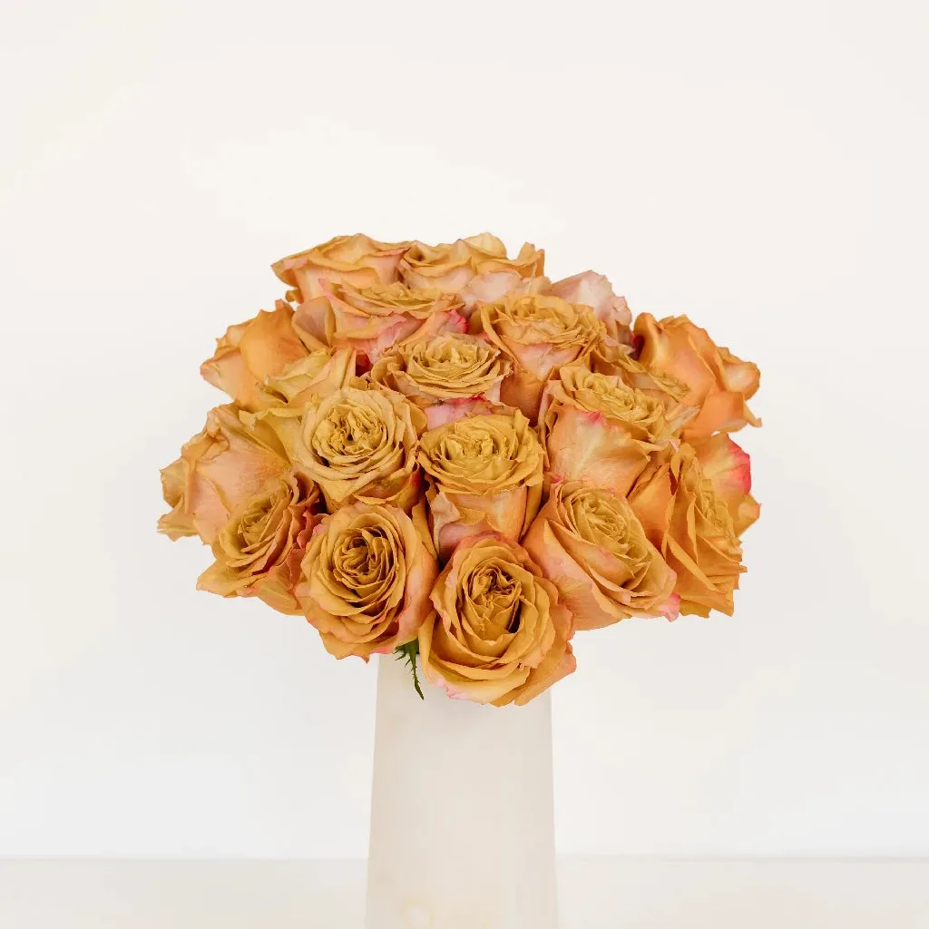 Pumpkin Spice Garden Roses
