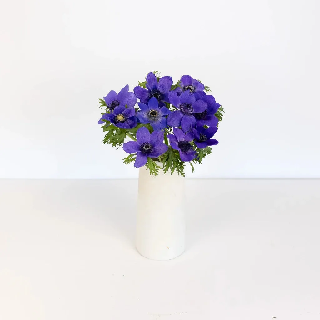 Purple Fresh Cut Anemone Flower
