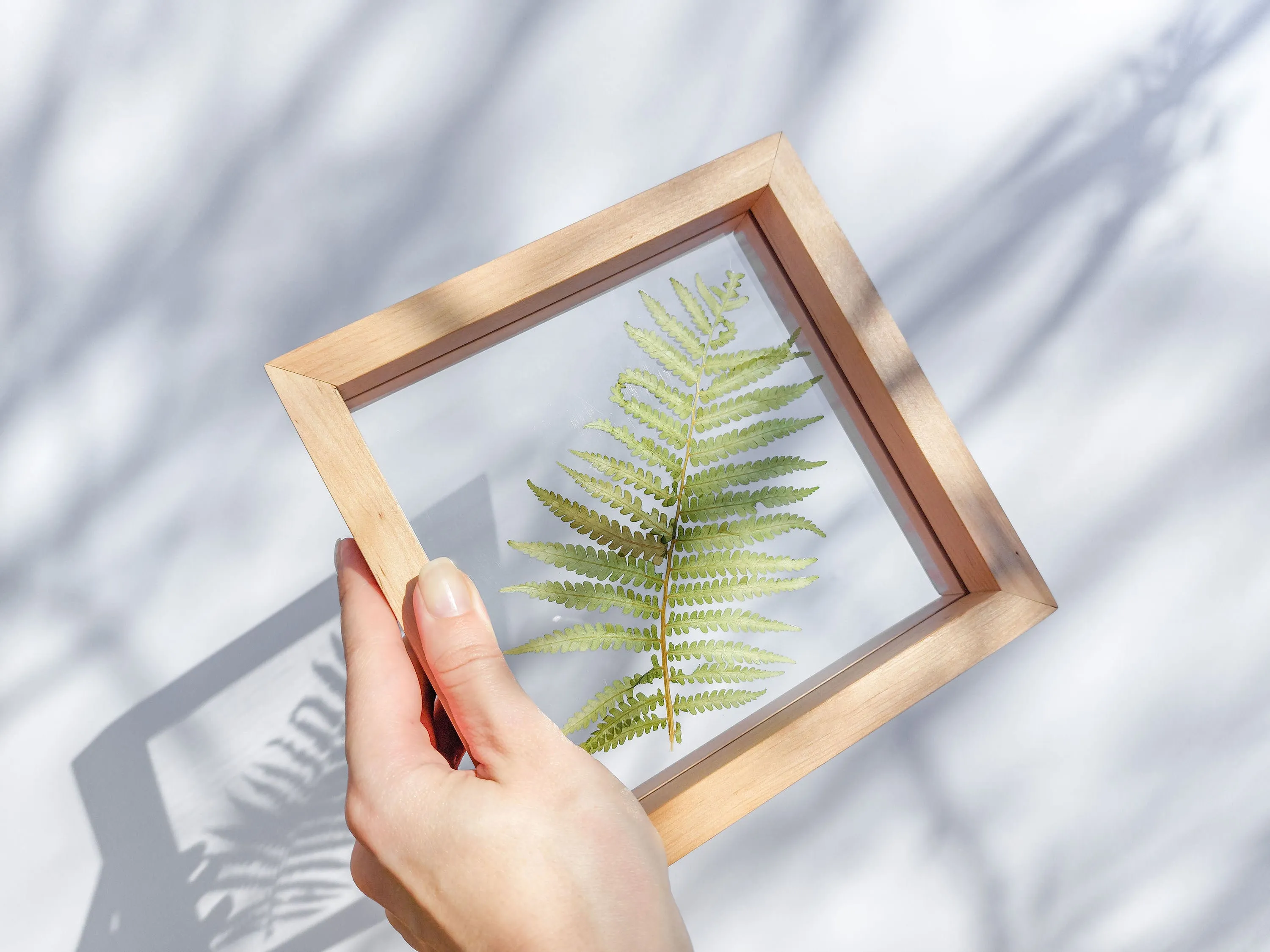 Real fern pressed leaf on plexiglass artwork with wooden square frame for Nature lover gift