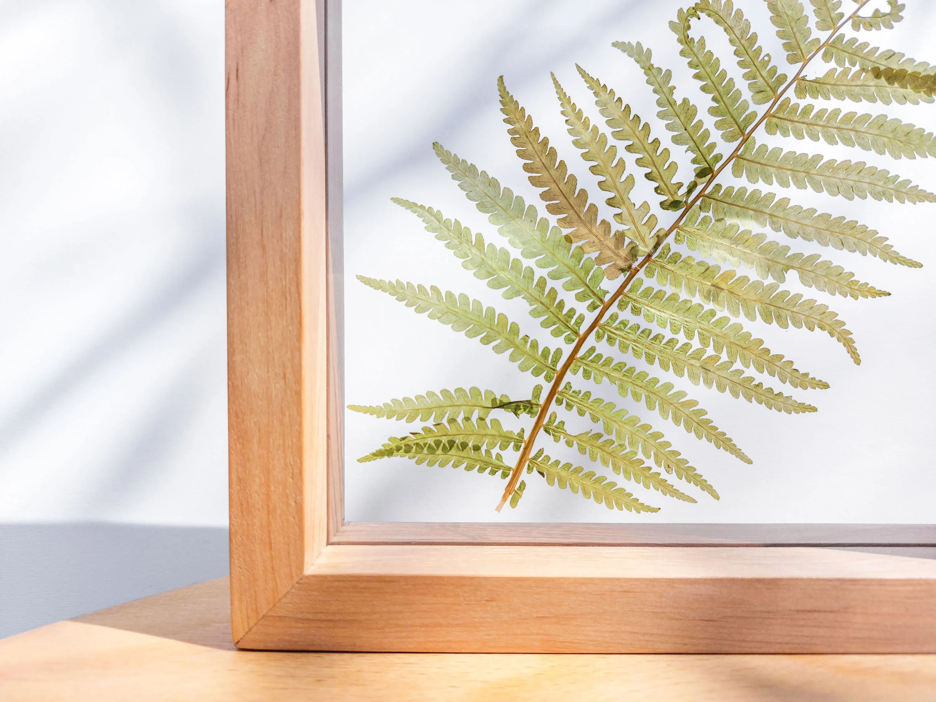 Real fern pressed leaf on plexiglass artwork with wooden square frame for Nature lover gift