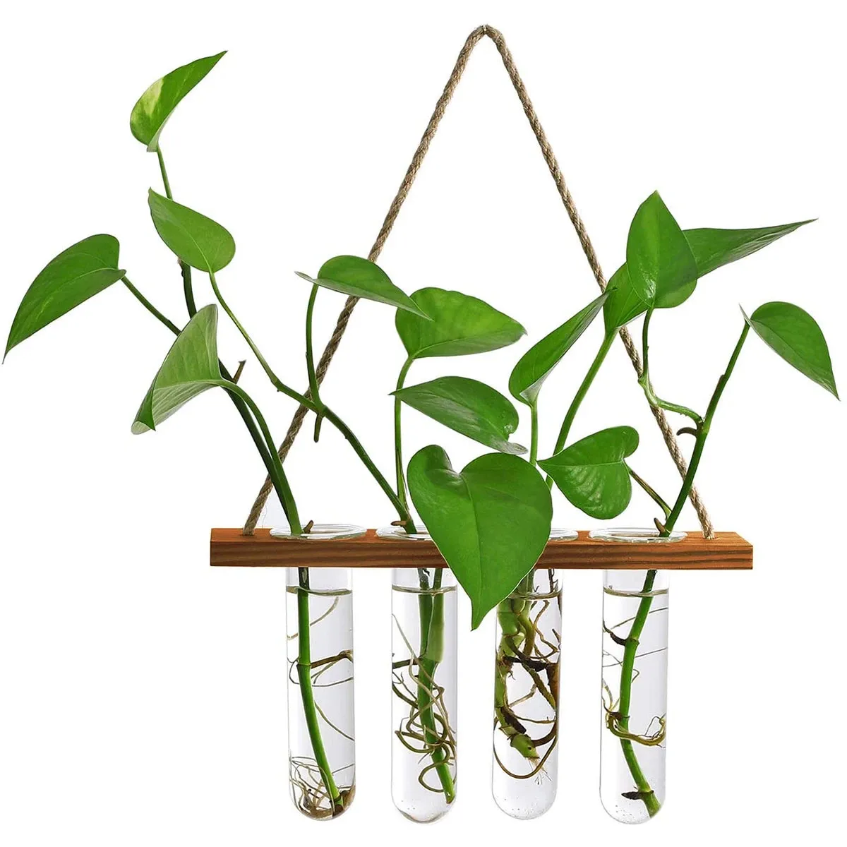Retro Test Tube Wall Hanging Planters