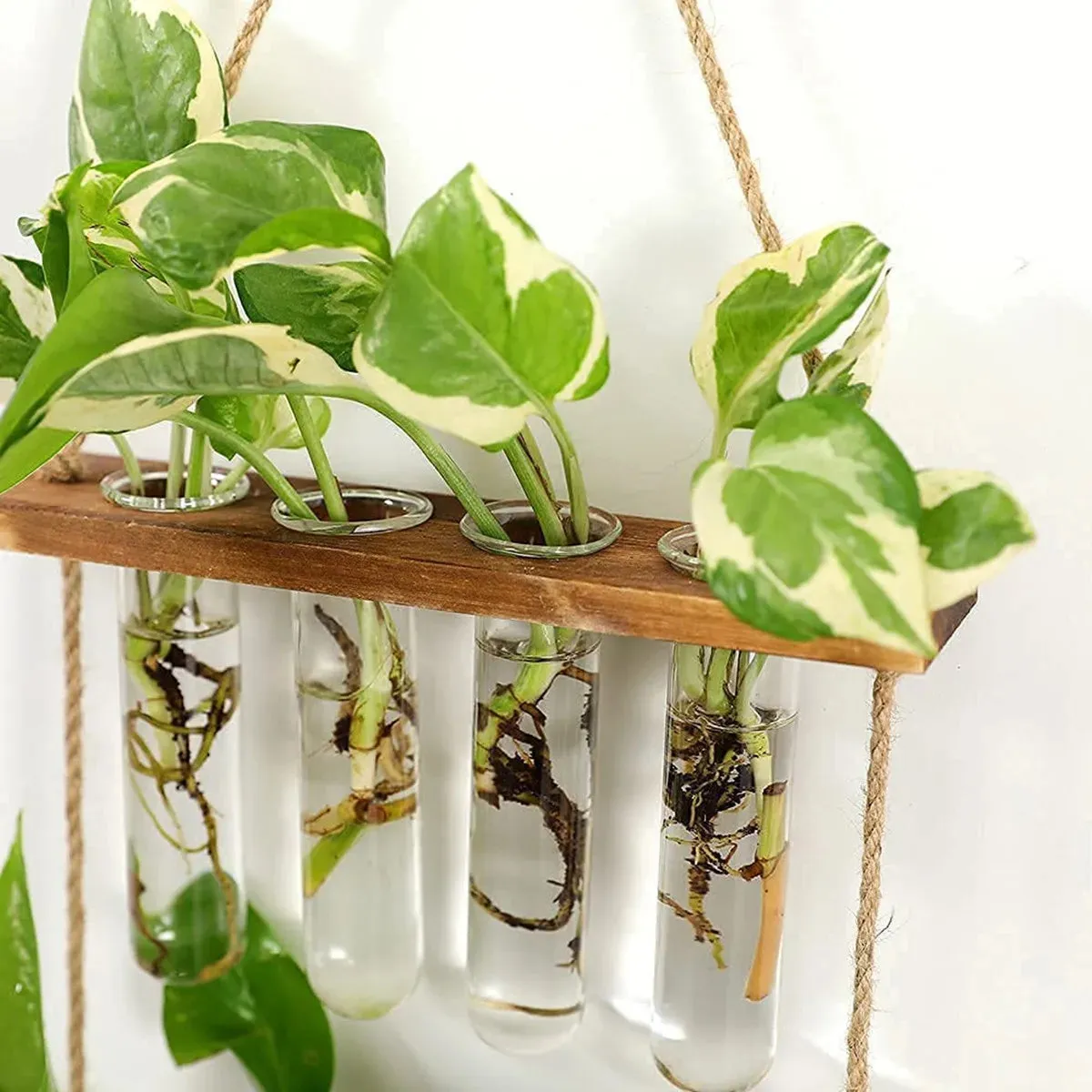 Retro Test Tube Wall Hanging Planters