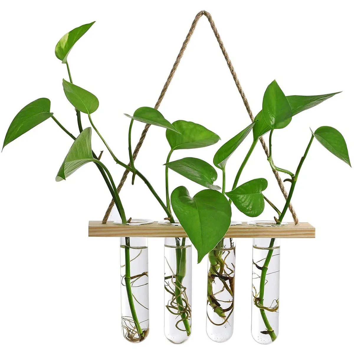 Retro Test Tube Wall Hanging Planters