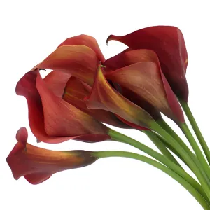 Rustic Red Mini Calla Lily Flower