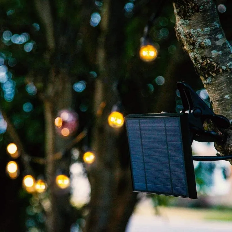 Solar Powered String Lights – Eco-Friendly Garden Illumination