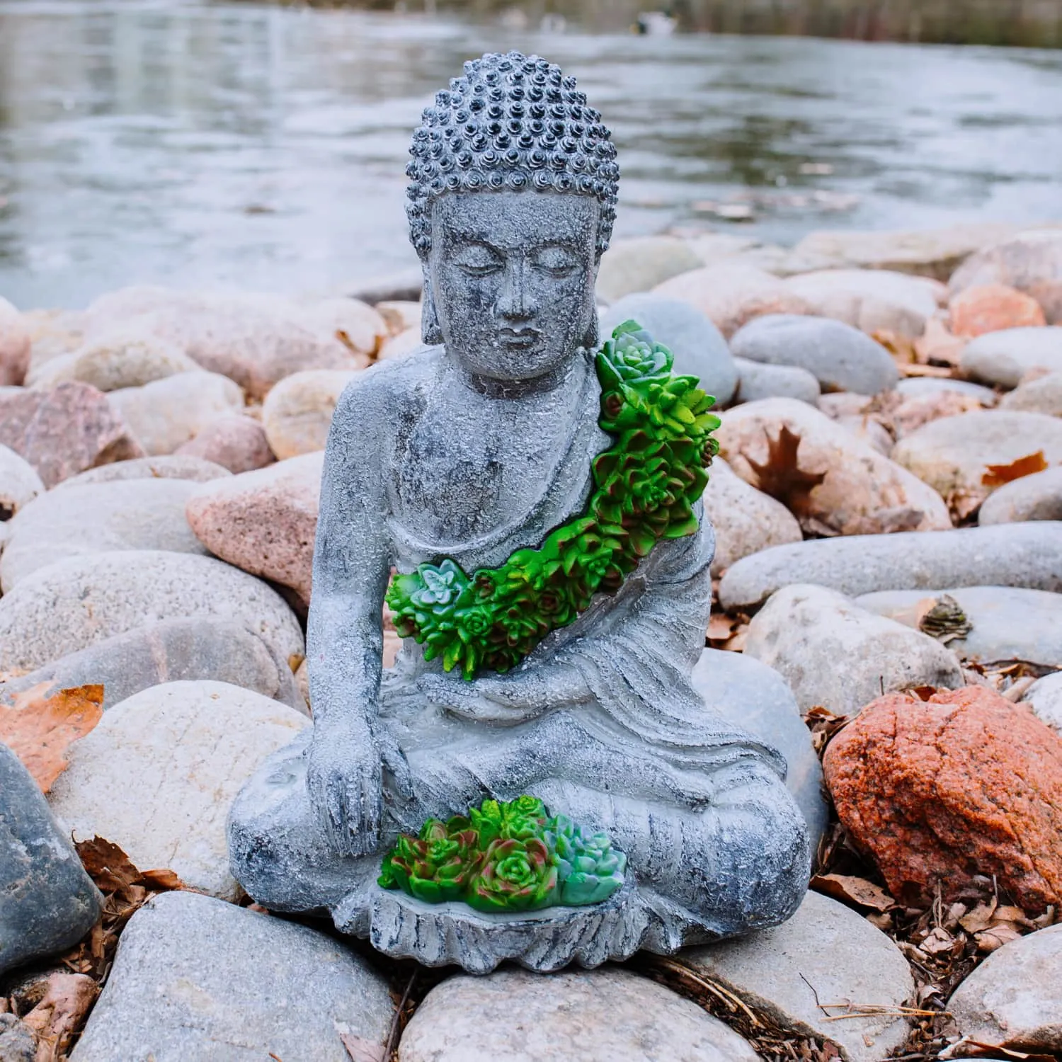 Solar Succulent Adorned Buddha, 10 by 14 Inches