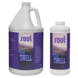Soul Big Swell