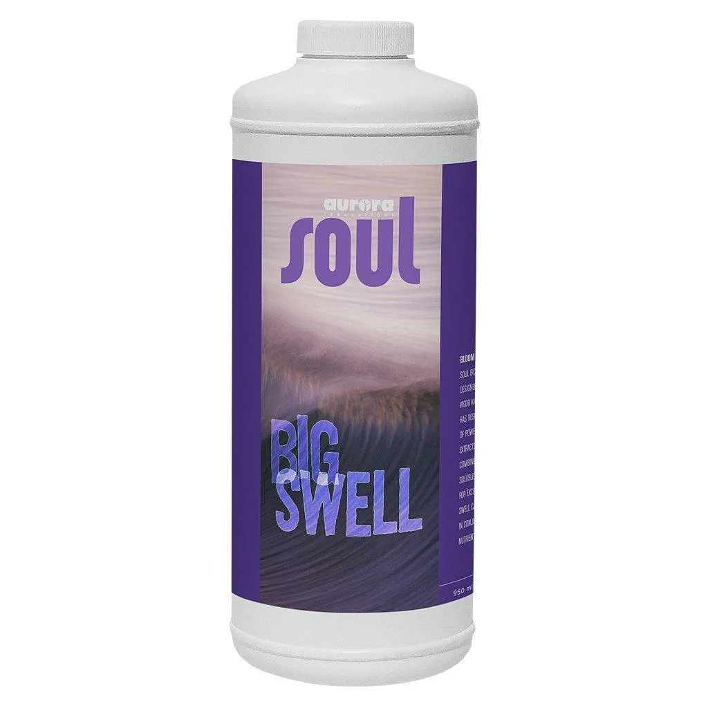 Soul Big Swell