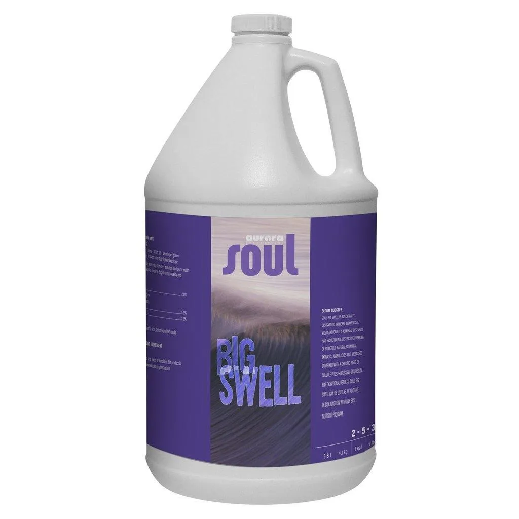 Soul Big Swell