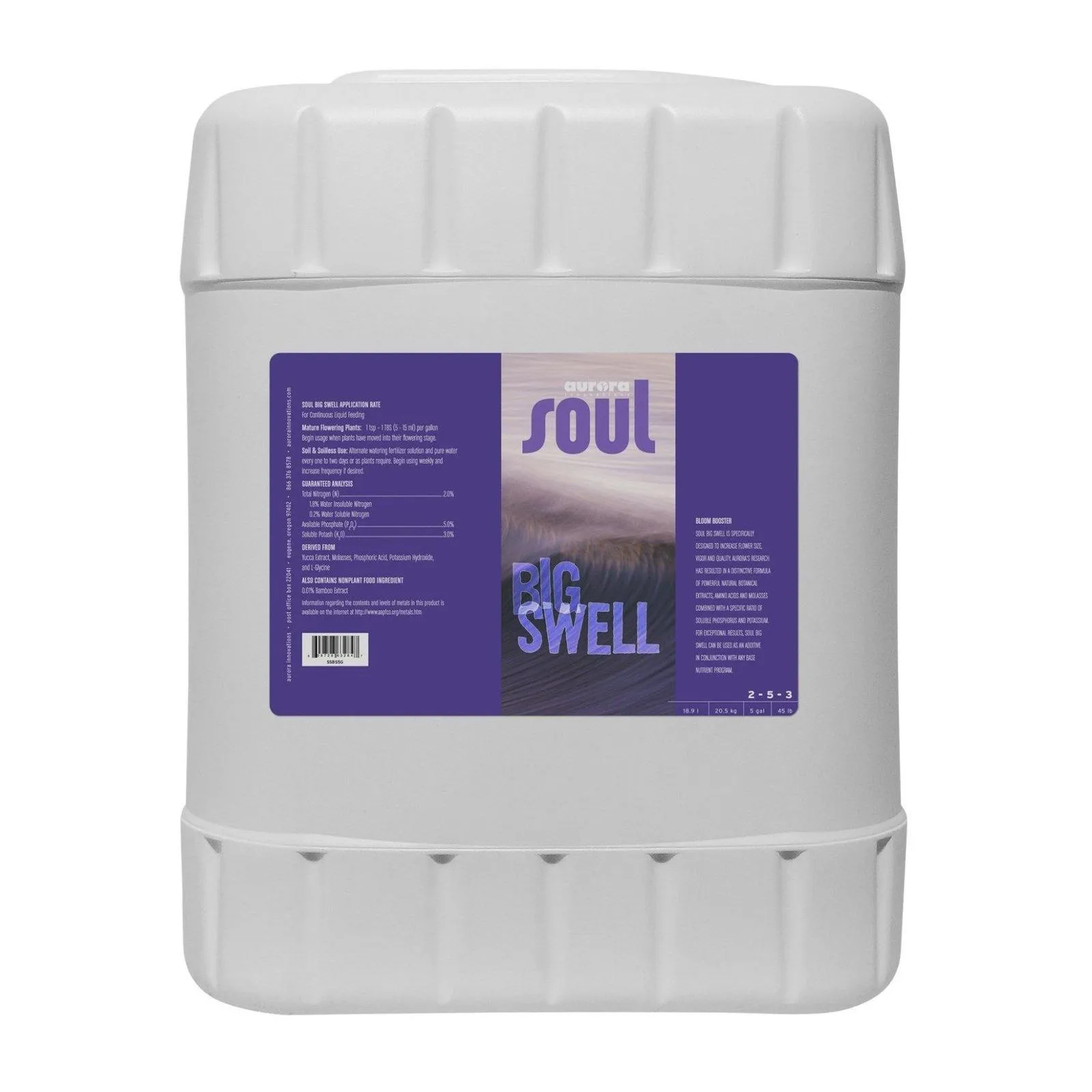 Soul Big Swell