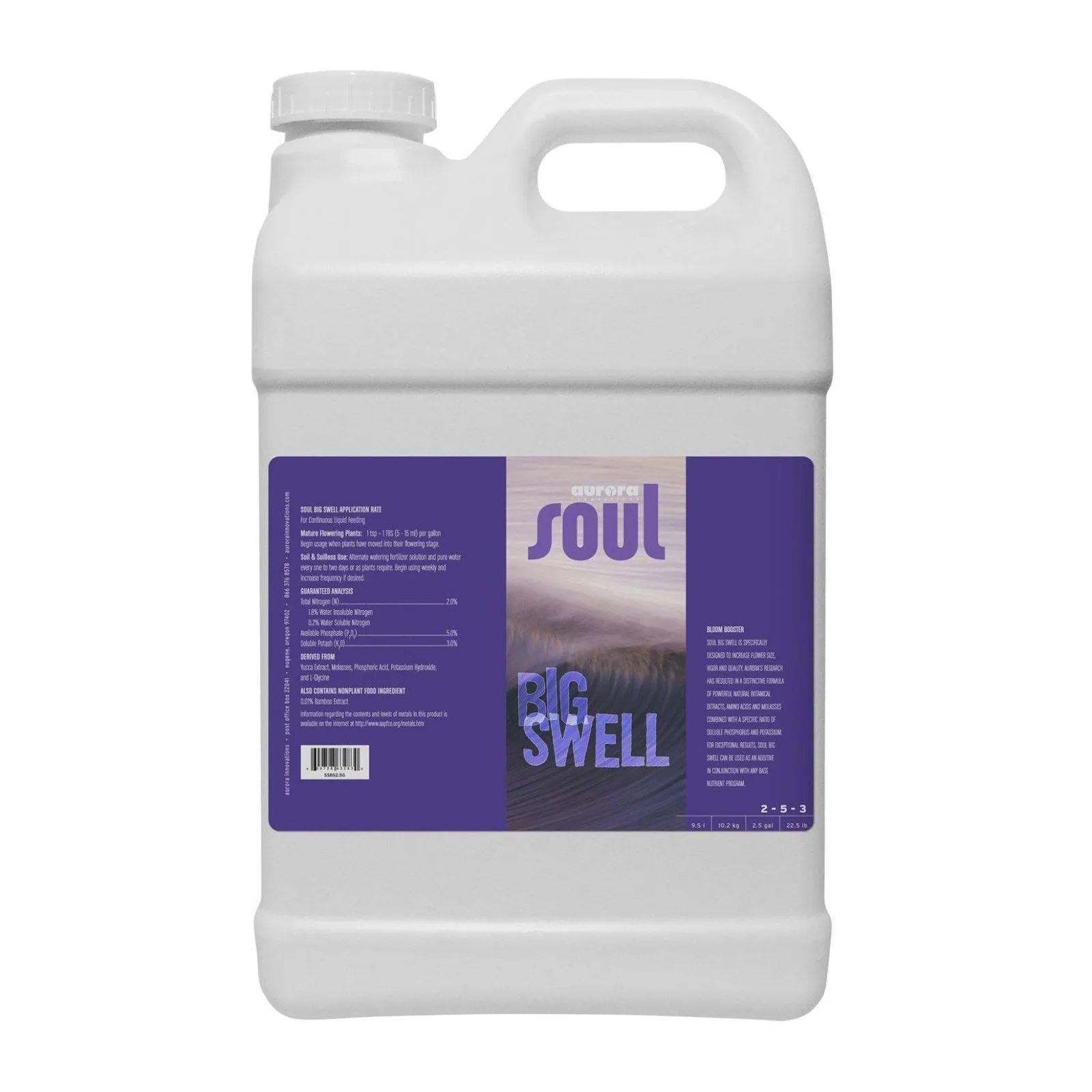 Soul Big Swell