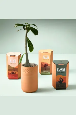Terracotta Grow Kits