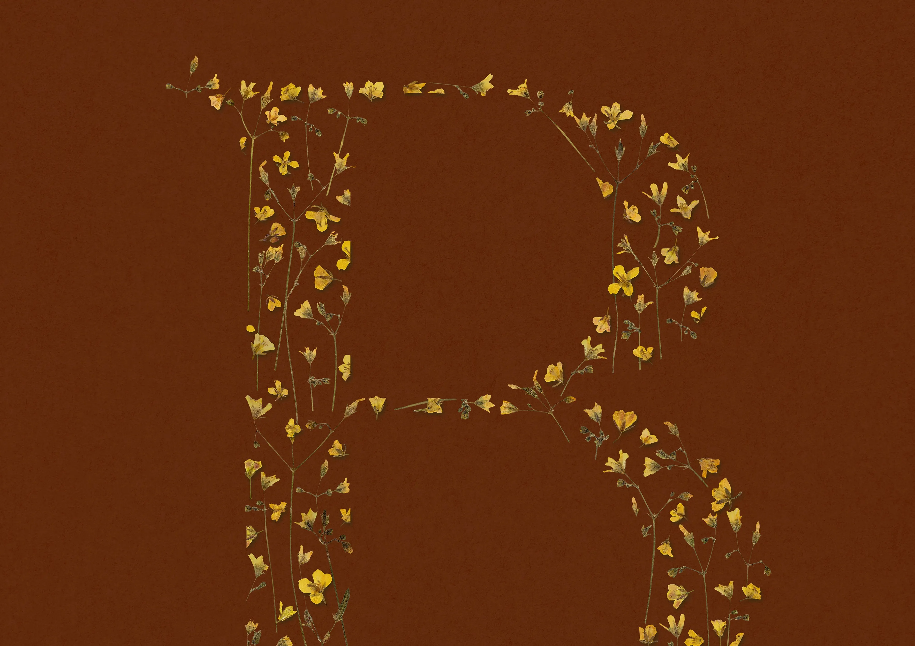 Terracotta personalized name letter prints Pressed yellow wildflowers poster