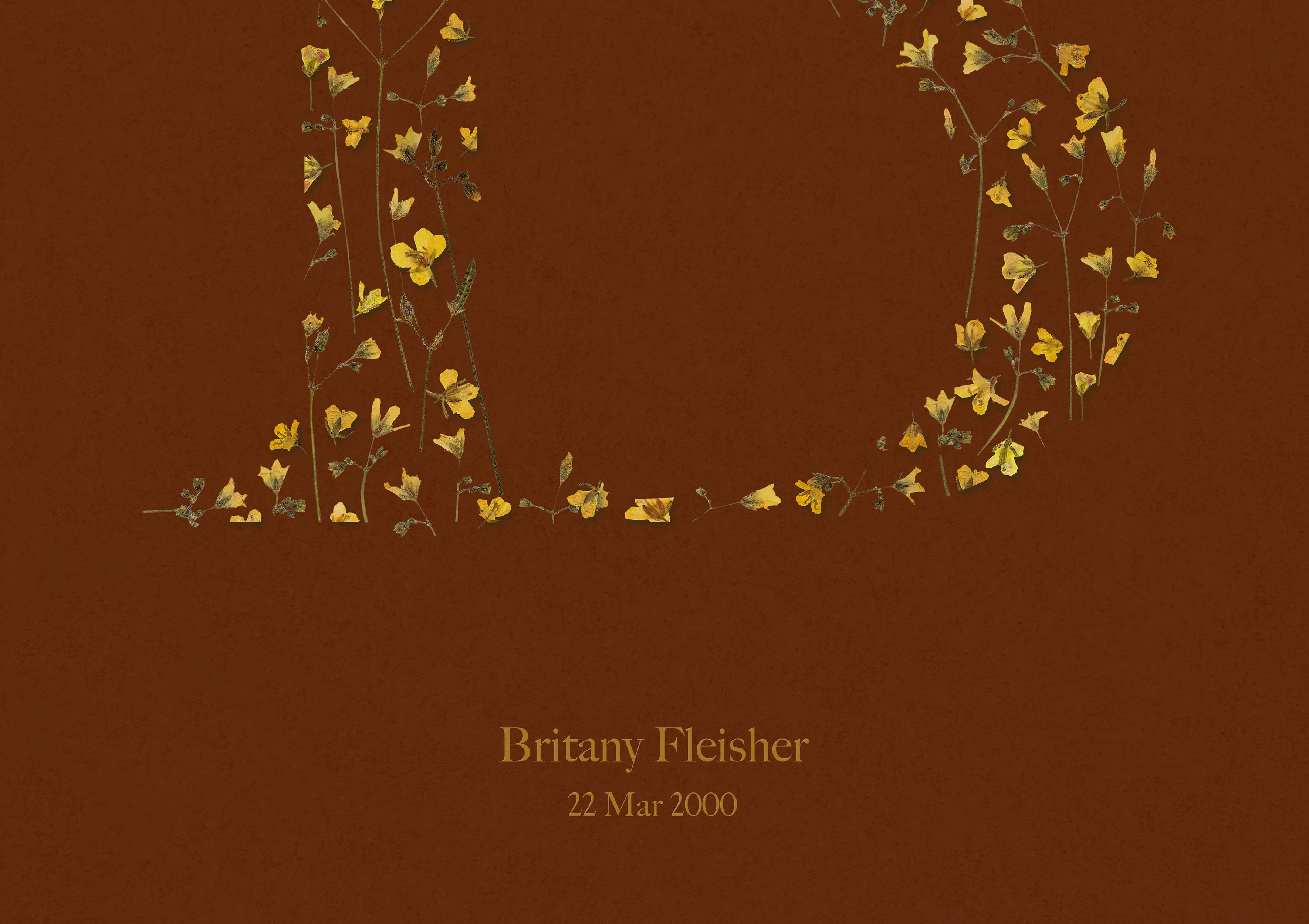 Terracotta personalized name letter prints Pressed yellow wildflowers poster