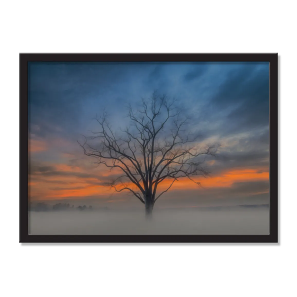 Triple Beauty AirFrame Photo Tile
