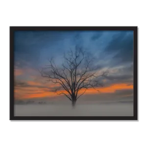 Triple Beauty AirFrame Photo Tile