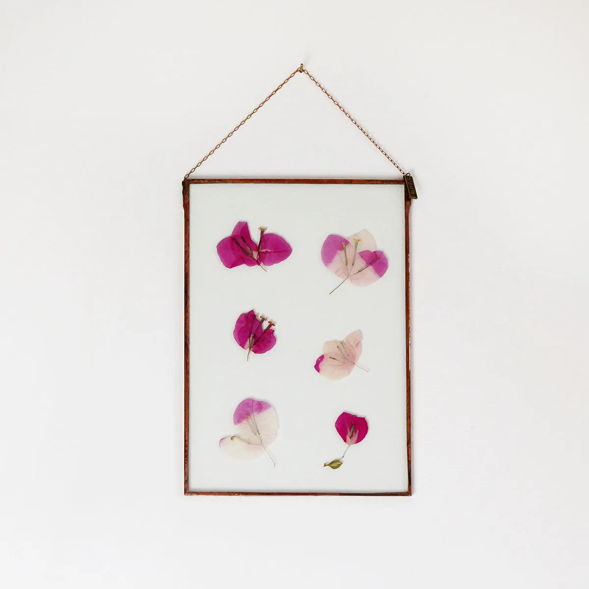 VELT Botanical Frame - Bougainvillea