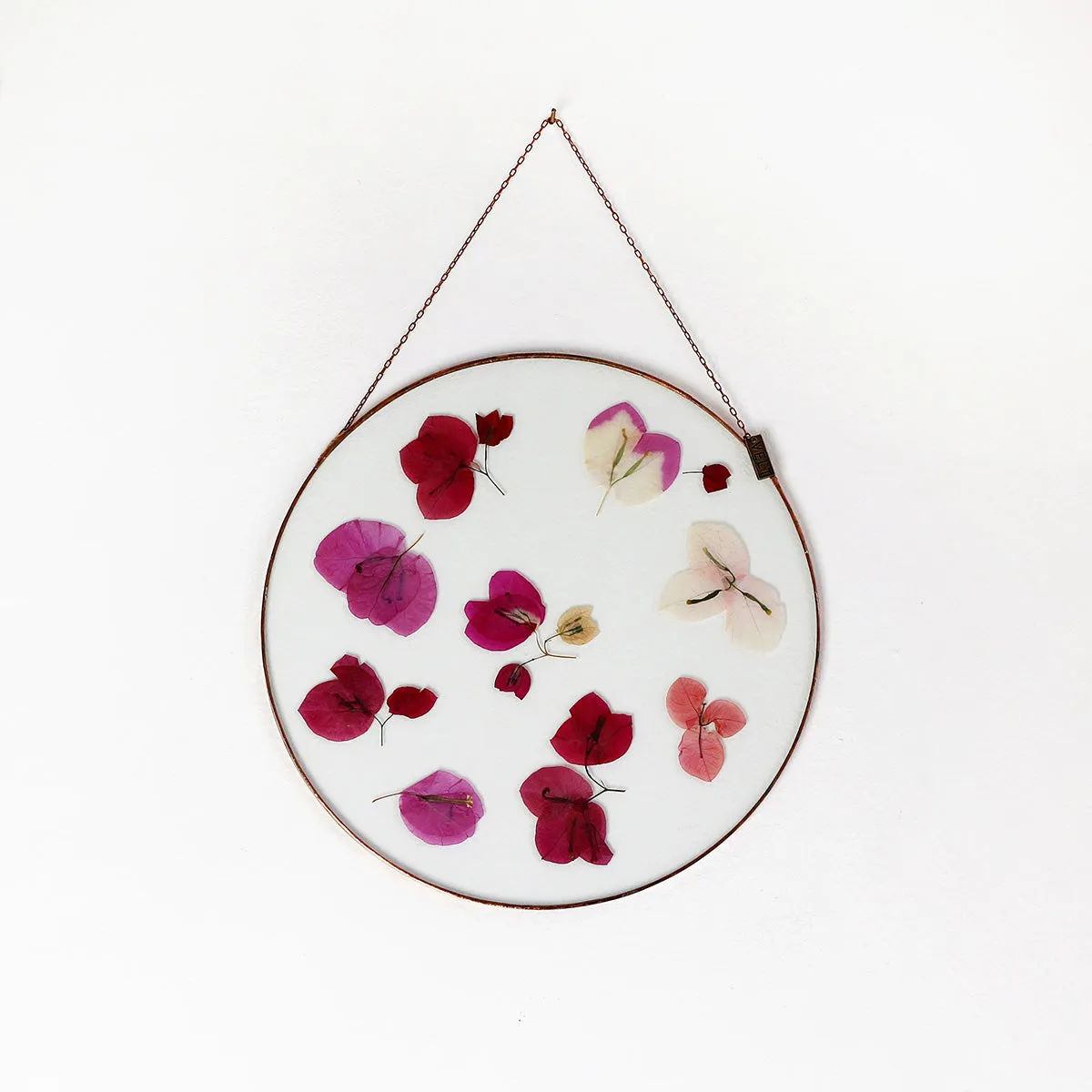 VELT Botanical Frame - Bougainvillea