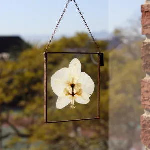 VELT Botanical Frame - Orchid
