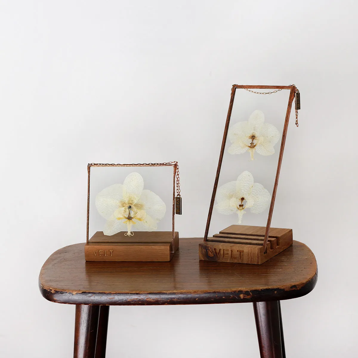 VELT Botanical Frame - Orchid