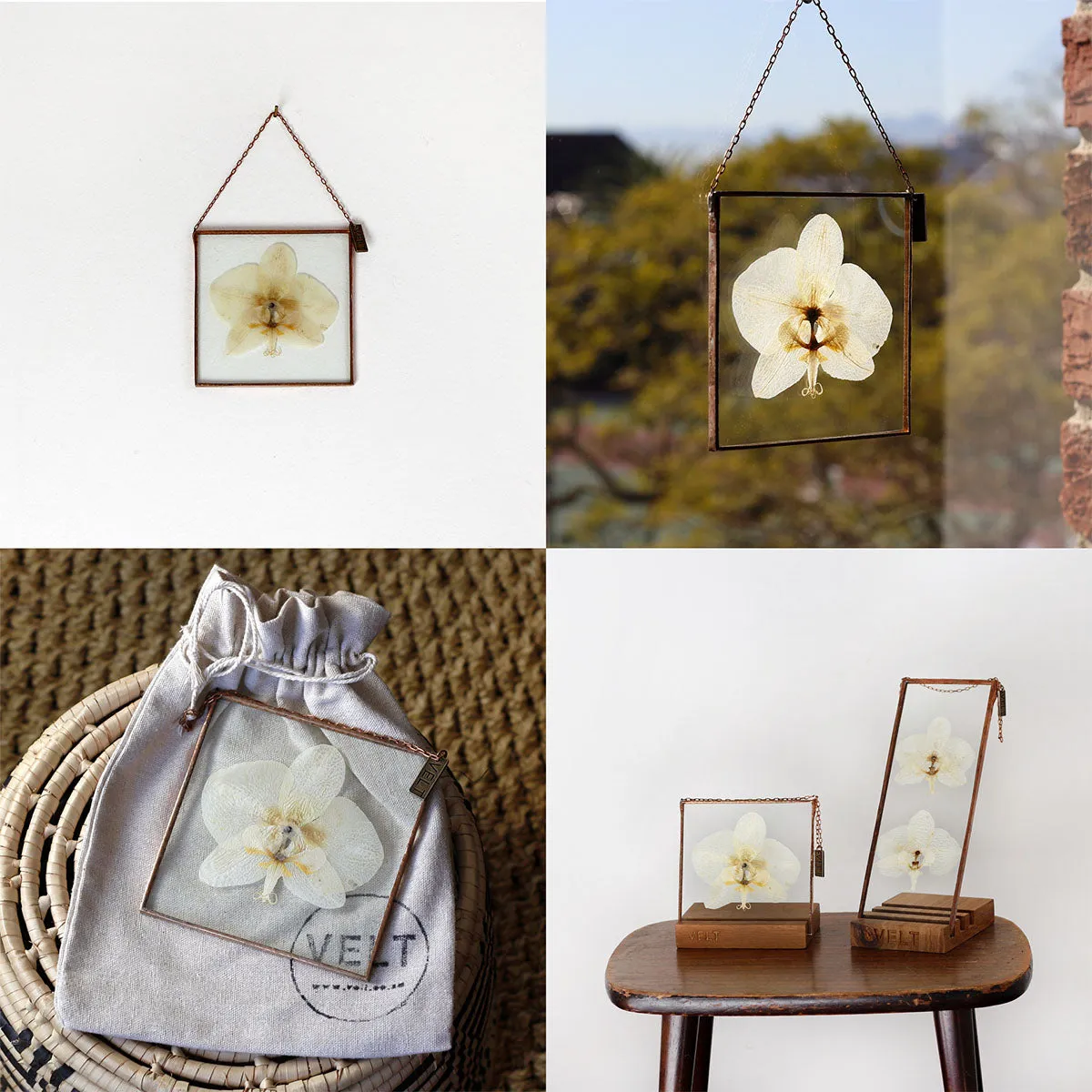 VELT Botanical Frame - Orchid