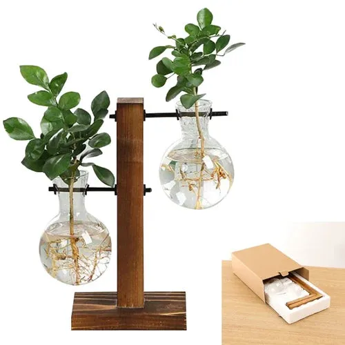 Vintage Hydroponic Wooden Frame Glass Vase