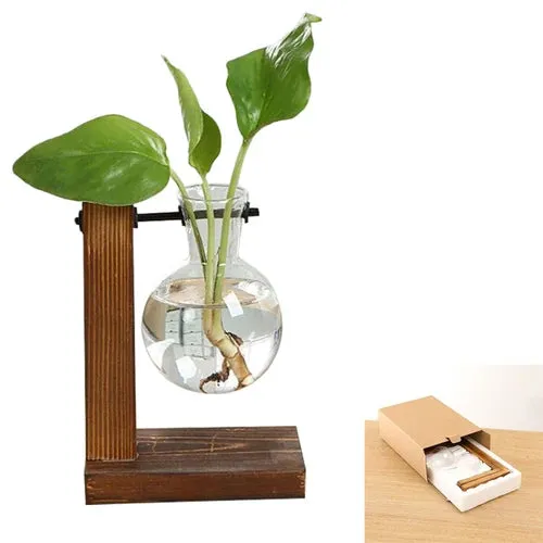 Vintage Hydroponic Wooden Frame Glass Vase