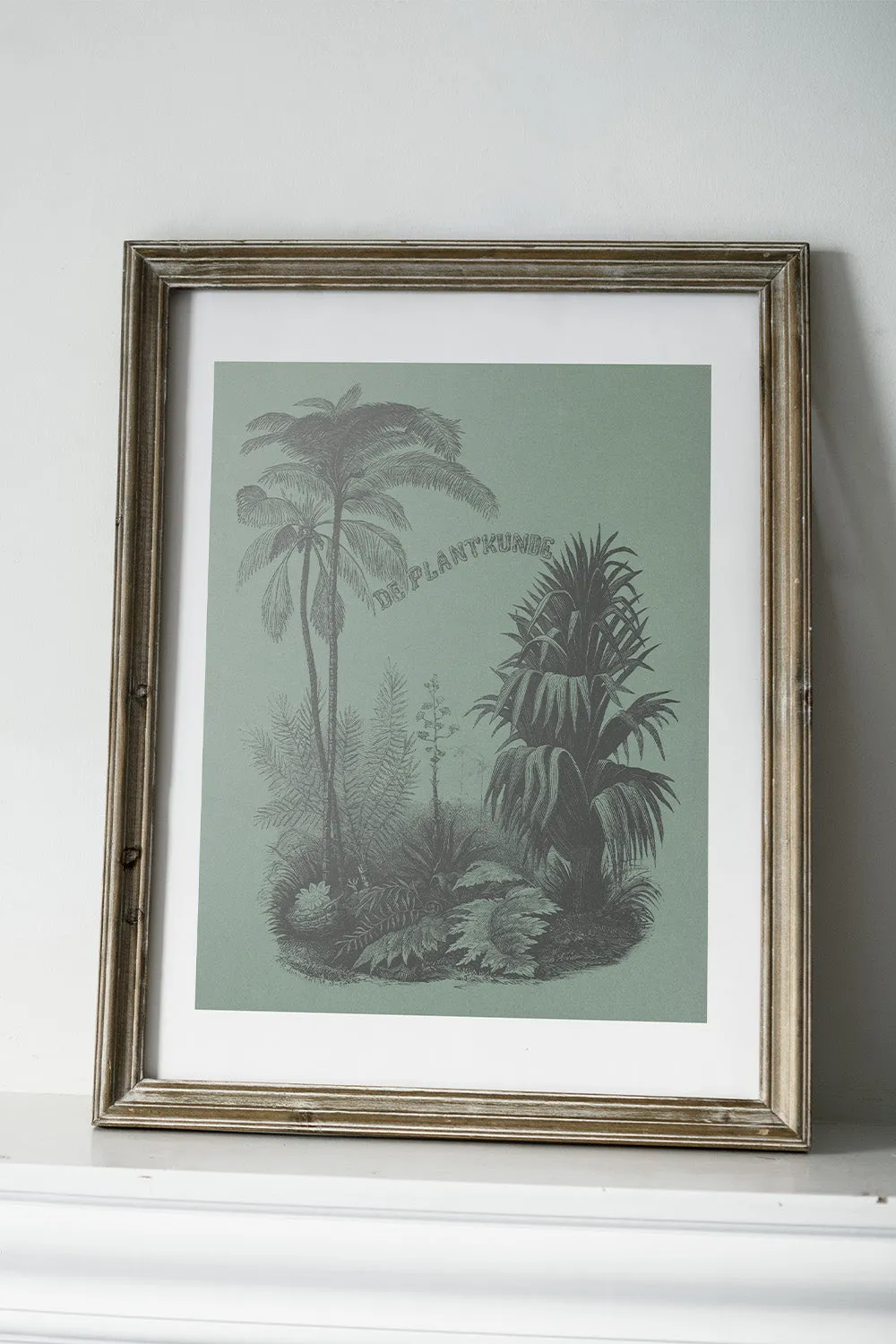 Vintage Plant Art Print