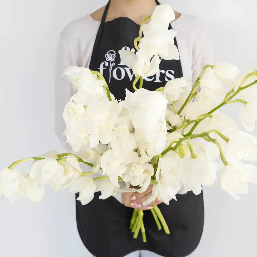White and Yellow Cymbidium Orchids