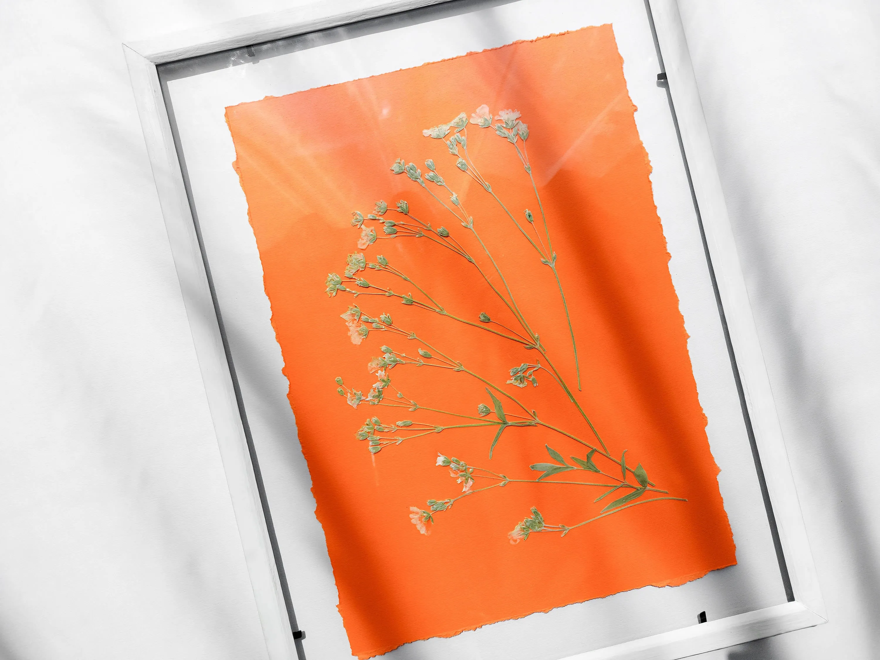 Wildflowers green and orange pressed flower and plant artwork for Nature lover gift UNFRAMED