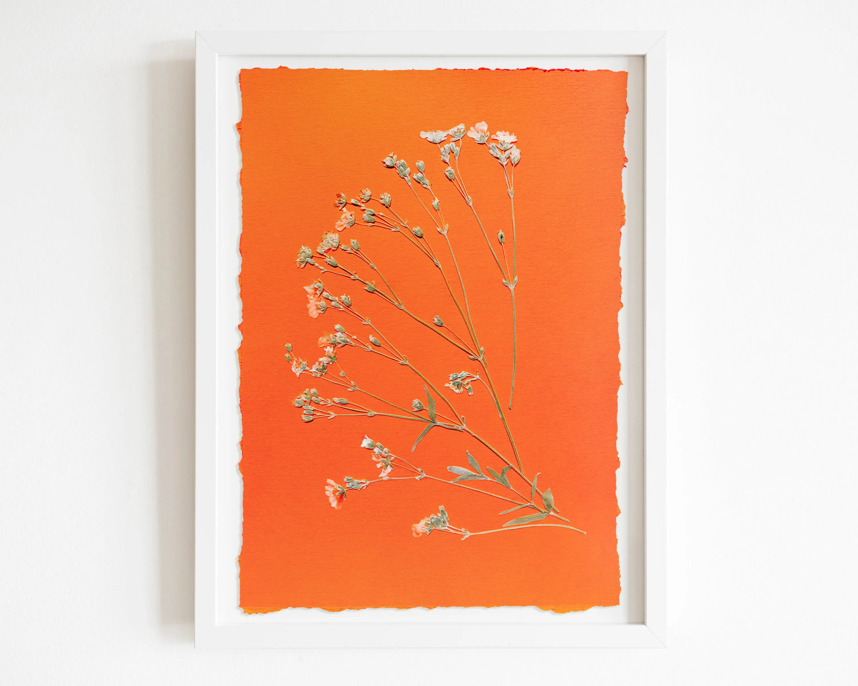Wildflowers green and orange pressed flower and plant artwork for Nature lover gift UNFRAMED