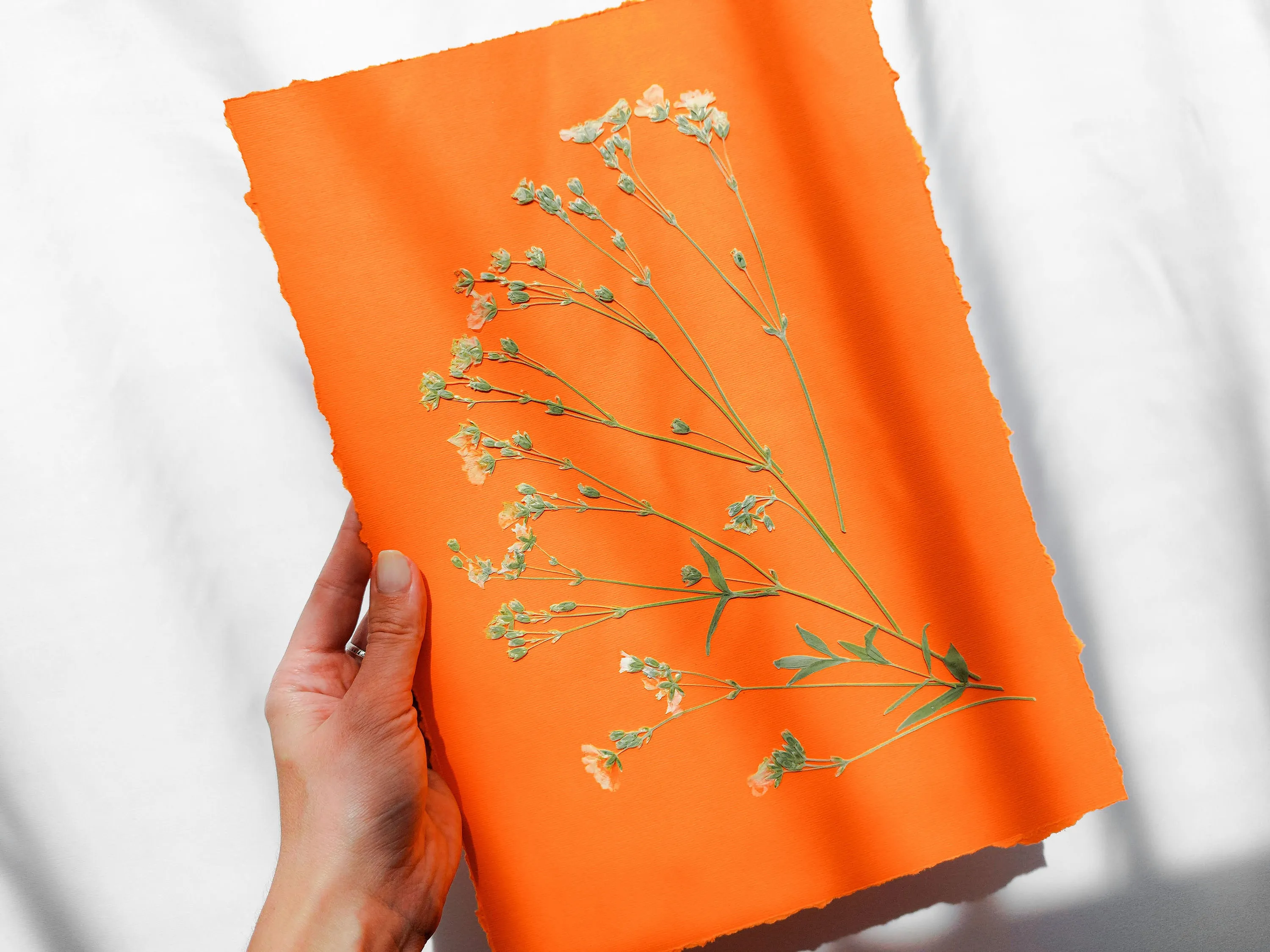 Wildflowers green and orange pressed flower and plant artwork for Nature lover gift UNFRAMED