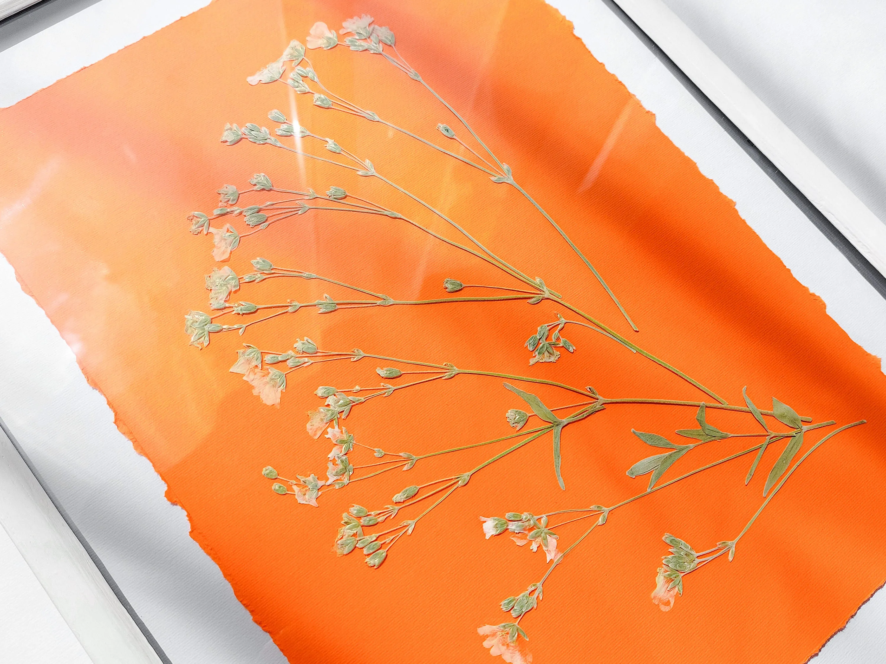 Wildflowers green and orange pressed flower and plant artwork for Nature lover gift UNFRAMED